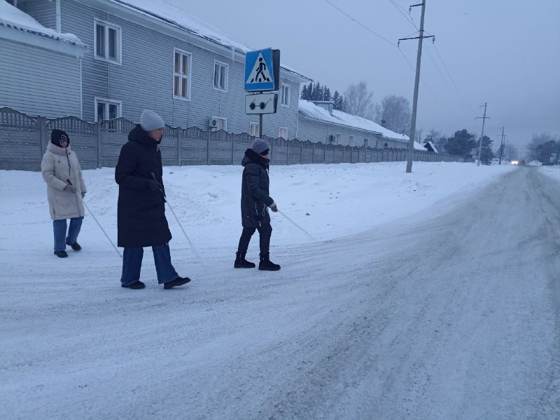 Тифлокомментарий: запечатлен момент пересечения участниками мастер-класса проезжей части улицы сельского типа.